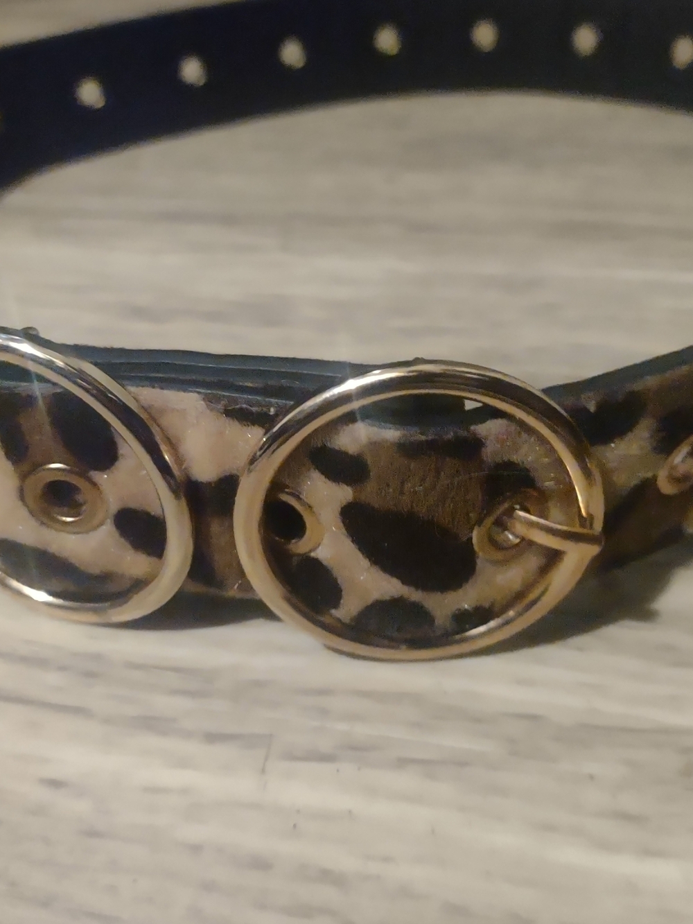 White Stag Leopard Print Belt with Gold Rings